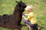 080518-wvdl-dier_en_tuin_27.jpg